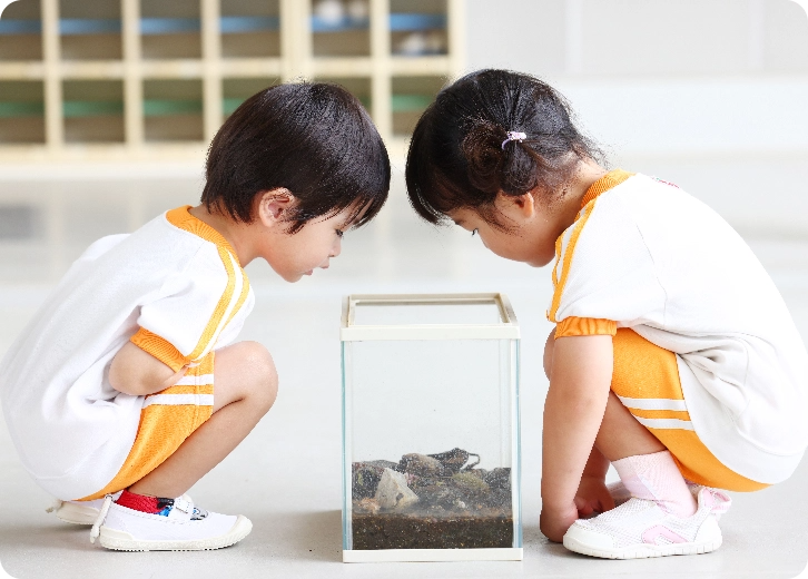 生き物を覗き込む園児