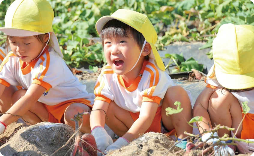 畑で芋掘りする園児二人